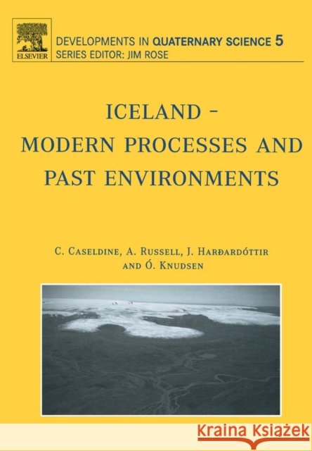 Iceland - Modern Processes and Past Environments: Volume 5