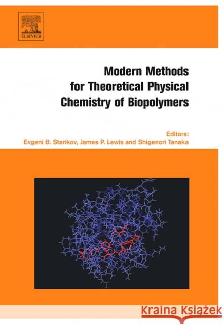 Modern Methods for Theoretical Physical Chemistry of Biopolymers