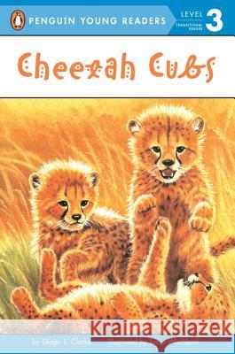 Cheetah Cubs