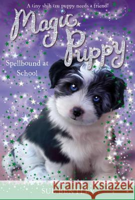 Spellbound at School