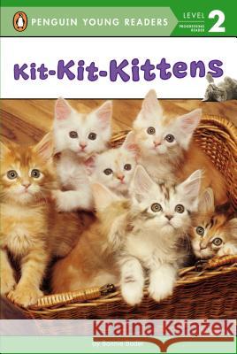 Kit-Kit-Kittens