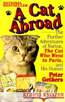 A Cat Abroad: The Further Adventures of Norton, the Cat Who Went to Paris, and His Human