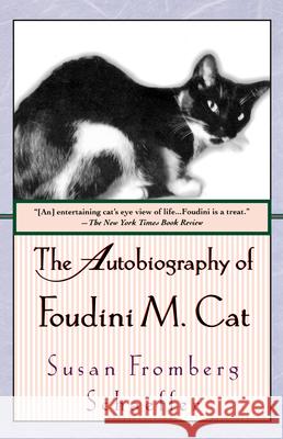 The Autobiography of Foudini M. Cat