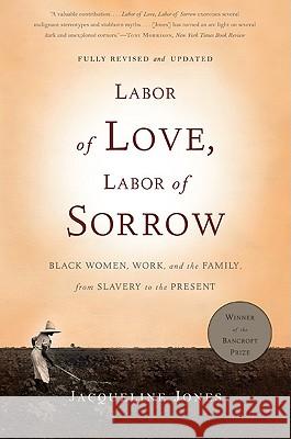 Labor of Love, Labor of Sorrow: Black Women, Work, and the Family, from Slavery to the Present