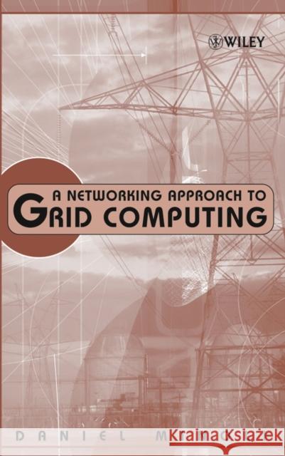 A Networking Approach to Grid Computing