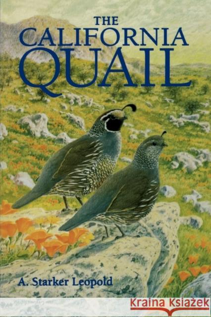The California Quail