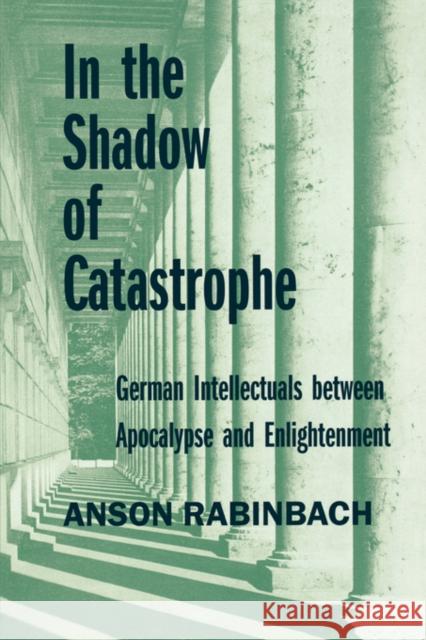 In the Shadow of Catastrophe: German Intellectuals Between Apocalypse and Enlightenmentvolume 14