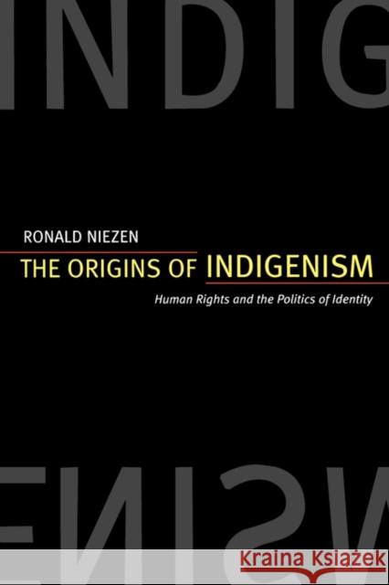 The Origins of Indigenism: Human Rights and the Politics of Identity