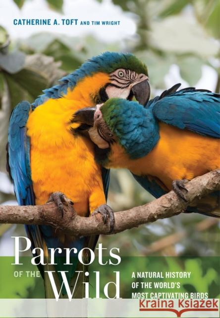 Parrots of the Wild: A Natural History of the World’s Most Captivating Birds