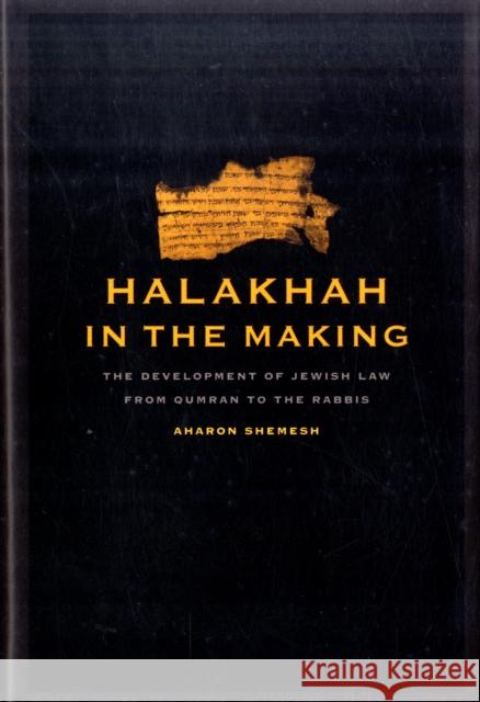 Halakhah in the Making: The Development of Jewish Law from Qumran to the Rabbisvolume 6