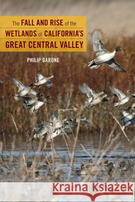 The Fall and Rise of the Wetlands of California's Great Central Valley