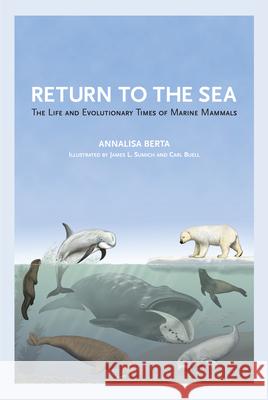 Return to the Sea: The Life and Evolutionary Times of Marine Mammals