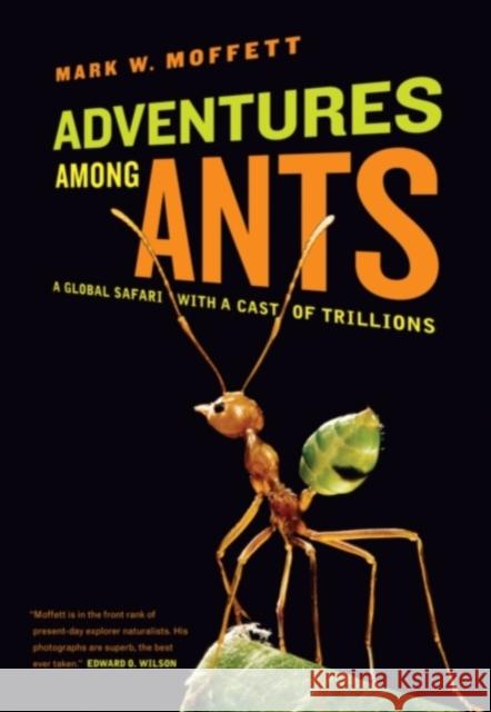 Adventures among Ants: A Global Safari with a Cast of Trillions