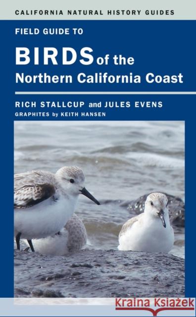 Field Guide to Birds of the Northern California Coast: Volume 109