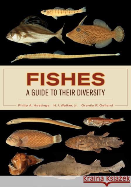 Fishes: A Guide to Their Diversity