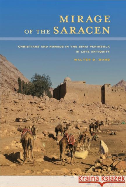 Mirage of the Saracen: Christians and Nomads in the Sinai Peninsula in Late Antiquityvolume 54