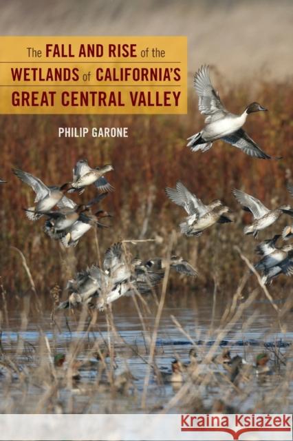 The Fall and Rise of the Wetlands of California's Great Central Valley