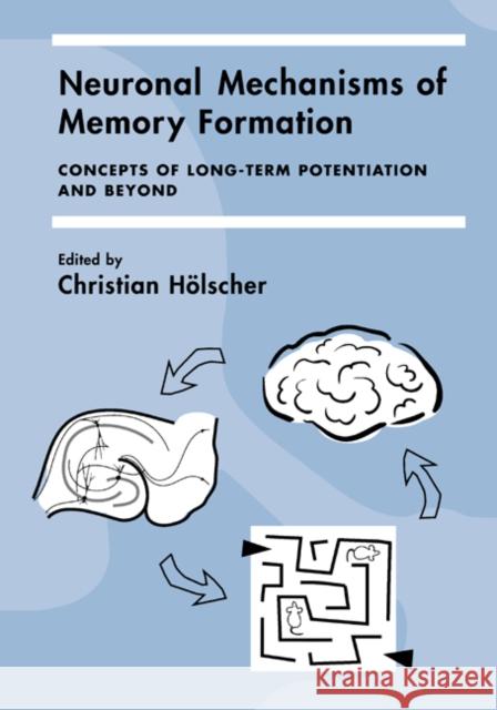 Neuronal Mechanisms of Memory Formation: Concepts of Long-Term Potentiation and Beyond