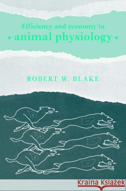 Efficiency and Economy in Animal Physiology