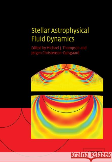 Stellar Astrophysical Fluid Dynamics