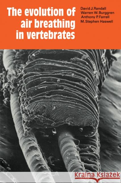 The Evolution of Air Breathing in Vertebrates