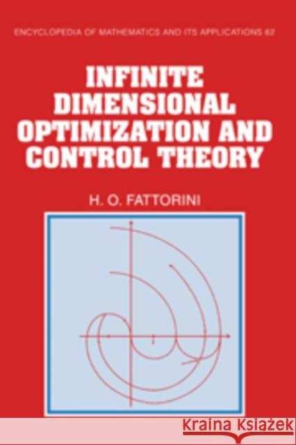 Infinite Dimensional Optimization and Control Theory