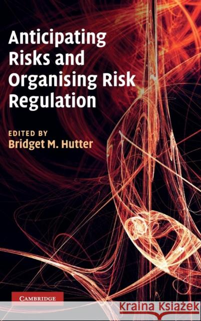 Anticipating Risks and Organising Risk Regulation