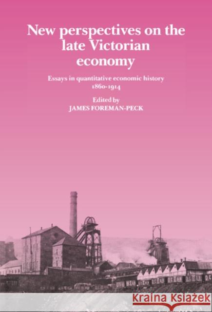 New Perspectives on the Late Victorian Economy: Essays in Quantitative Economic History, 1860 1914