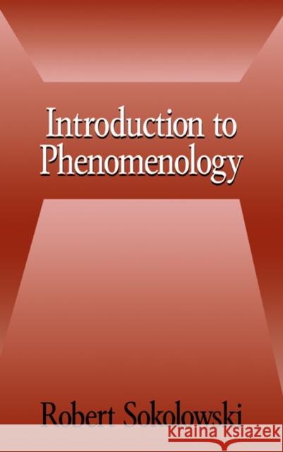 Introduction to Phenomenology