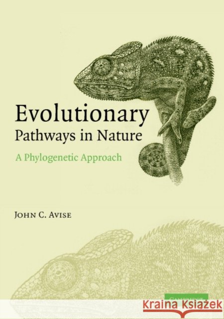 Evolutionary Pathways in Nature: A Phylogenetic Approach