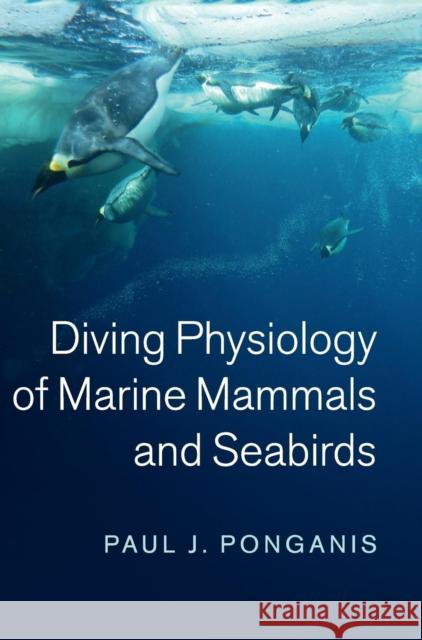 Diving Physiology of Marine Mammals and Seabirds