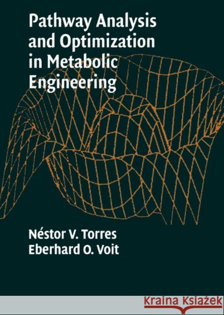 Pathway Analysis and Optimization in Metabolic Engineering