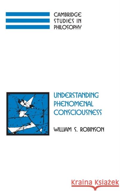 Understanding Phenomenal Consciousness