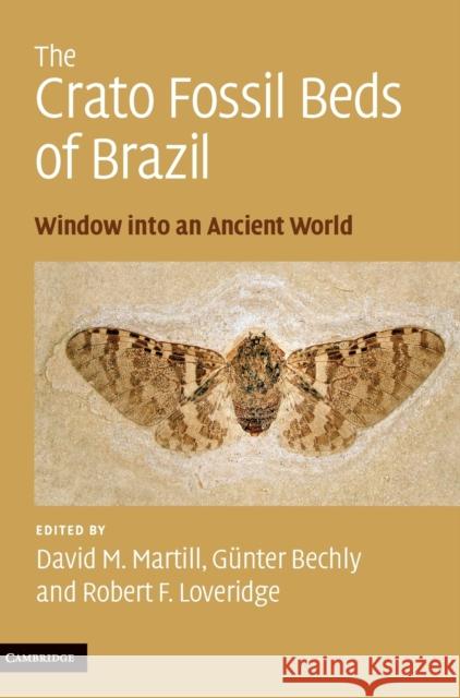 The Crato Fossil Beds of Brazil