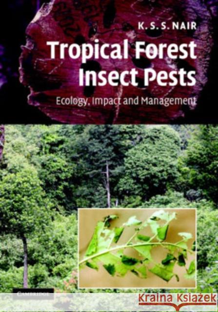 Tropical Forest Insect Pests: Ecology, Impact, and Management
