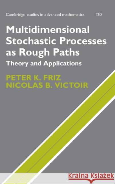 Multidimensional Stochastic Processes as Rough Paths