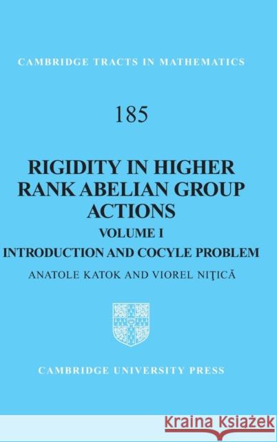 Rigidity in Higher Rank Abelian Group Actions: Volume 1, Introduction and Cocycle Problem