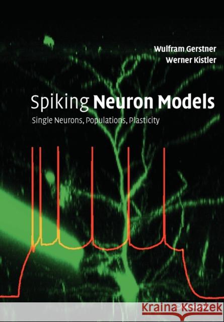 Spiking Neuron Models: Single Neurons, Populations, Plasticity