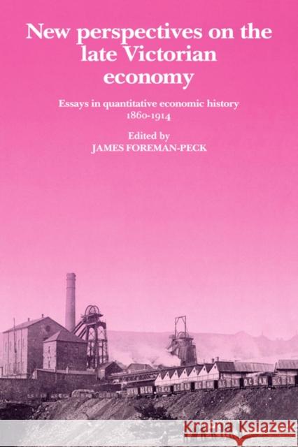 New Perspectives on the Late Victorian Economy: Essays in Quantitative Economic History, 1860-1914