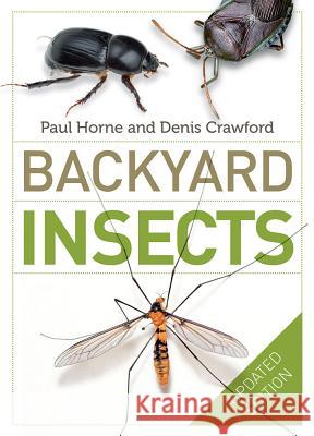 Backyard Insects Updated Edition