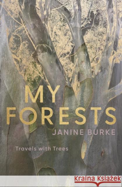 My Forests: Travels with Trees