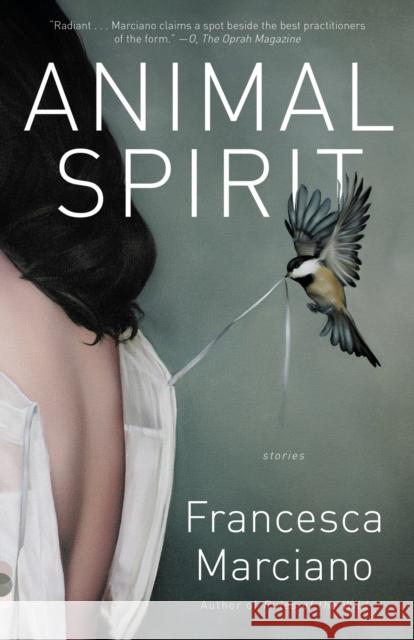 Animal Spirit: Stories