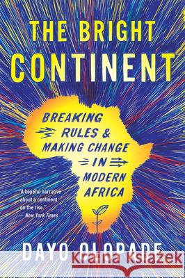 The Bright Continent: Breaking Rules and Making Change in Modern Africa