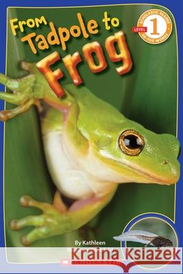 Scholastic Reader Level 1: From Tadpole to Frog
