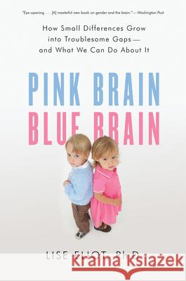 Pink Brain, Blue Brain: How Small Differences Grow Into Troublesome Gaps -- And What We Can Do about It