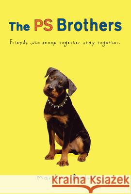 The PS Brothers