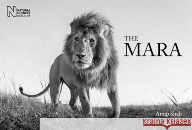 The Mara