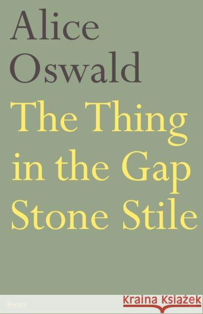 The Thing in the Gap Stone Stile