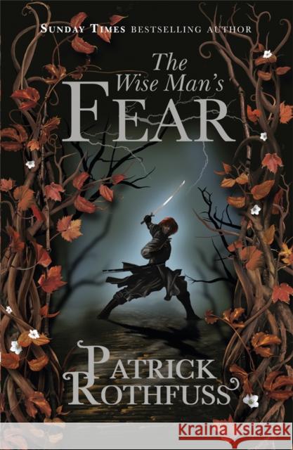 The Wise Man's Fear: The Kingkiller Chronicle: Book 2