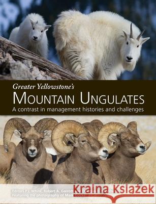 Greater Yellowstone's Mountain Ungulates: A Contrast in Management Histories and Challenges: A